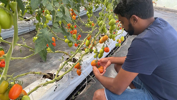 Les prix des fruits et légumes flambent LINFO re Vidéos Toutes