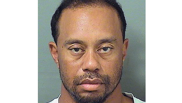 Arrestation - Tiger Woods