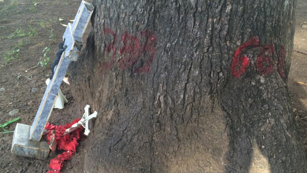 Nouvelles inscriptions sataniques à Saint-Denis