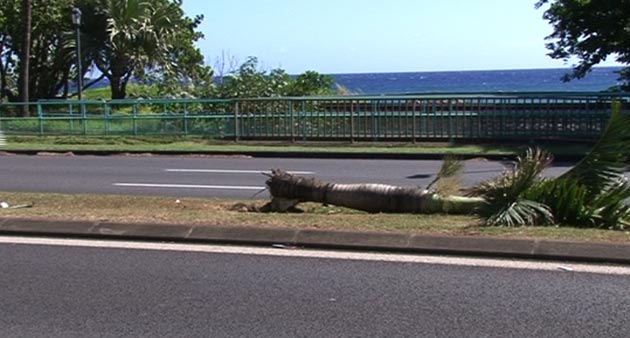 La Réunion - Collision mortelle - deux-roues