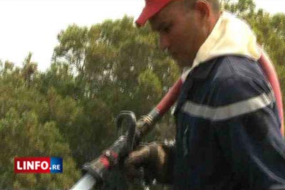 Feu au Moka : 2 exploitations agricoles menacées