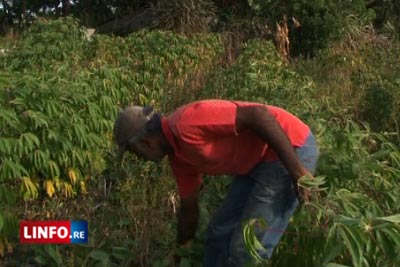 Les agriculteurs craignent le pire