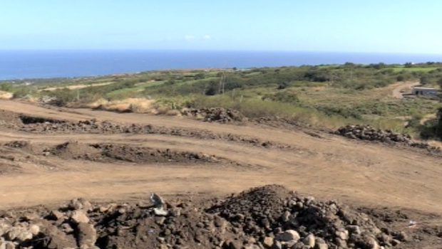 andains - La Saline - La Réunion