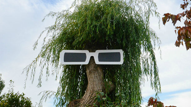 Finistère : la mairie déguise un arbre en Michel Polnareff 