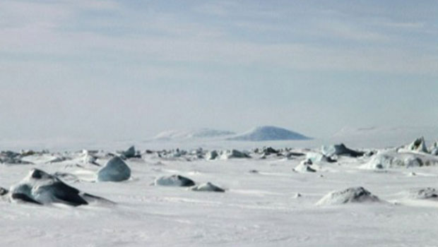 Océan Arctique : un bruit mystérieux mettrait en danger les animaux