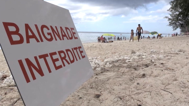 Baignade - risque - requin - La Réunion 