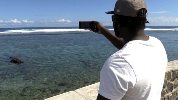 Globice - Association - Cétacés - Baleine - Photo - Identification - La Réunion