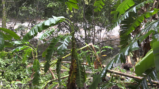 Bassin Boeuf - La Réunion - Sainte-Suzanne - Personnes en difficulté