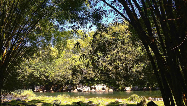 Bassin Mangue - Baignade interdite - Saint Benoît - La Réunion