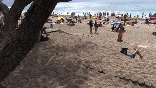 Boucan Canot - Saint-Paul - Plage - La Réunion - Filet anti-requin