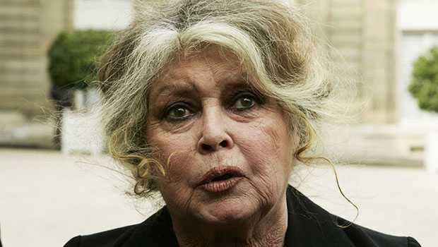 Brigitte Bardot - Juin 2024