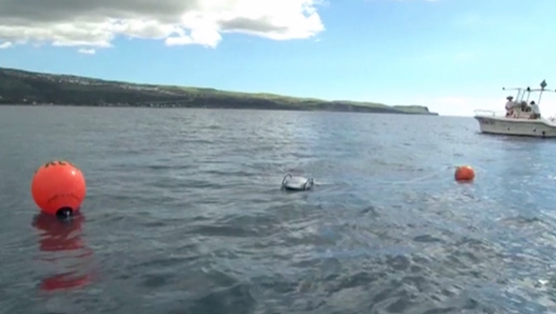 Suspension du programme Cap Requins - La Réunion