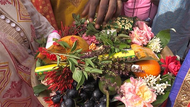 Cavadee - La Réunion - Saint-André