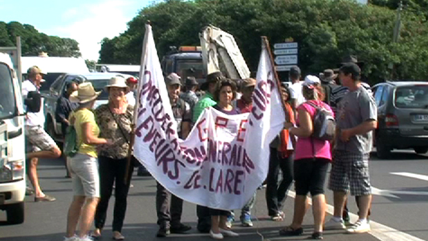 Manifestation - Agriculteurs - Eleveurs - Planteurs - Indemnités - Bejisa - Saint-Pierre