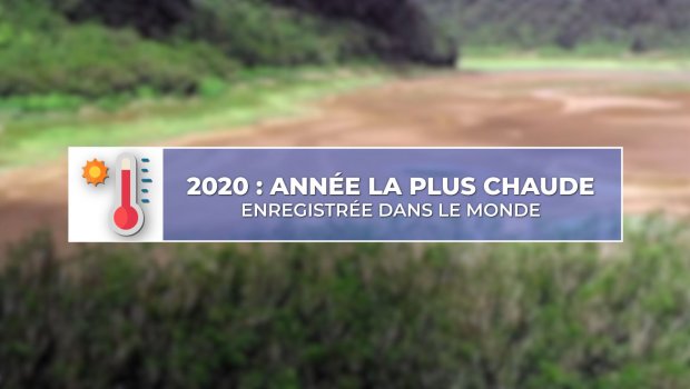 2020 année la plus chaude dans le monde