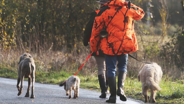 tats Unis un chien tue accidentellement un chasseur avec un