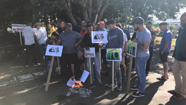 Union pour nos agriculteurs - Convention canne - Feu - UPNA - La Réunion