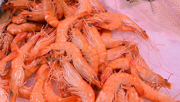 Crevette - Gambas