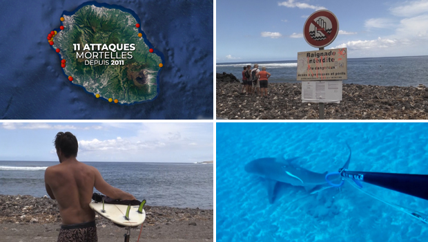 Crise requin - 27 attaques de squales - La Réunion