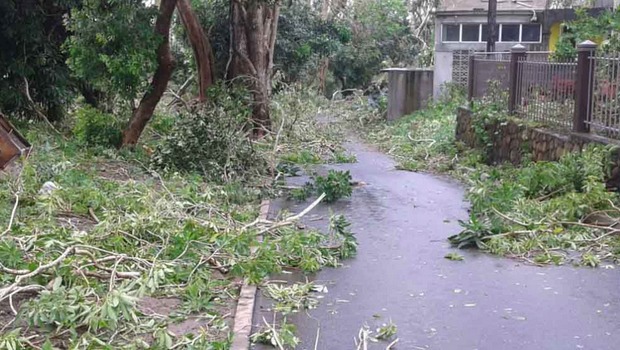 Cyclone Gelena - dégâts - Rodrigues 