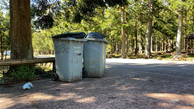 Fête de la nature : des collégiens sensibilisent aux enjeux environnementaux