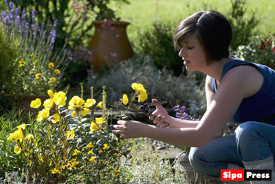 Décoration - Conseils jardin hypoallergénique