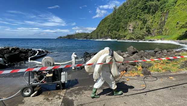 Tresta Star : une opération de dépollution s’est déroulée à l’Anse des Cascades