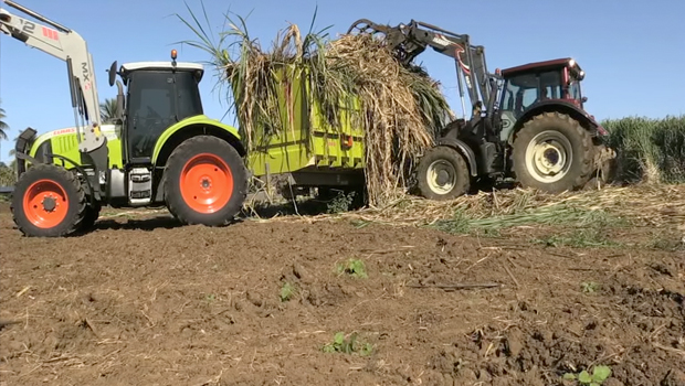 Agriculteurs - Grève - Revendications - Tereos - Destruction - La Réunion