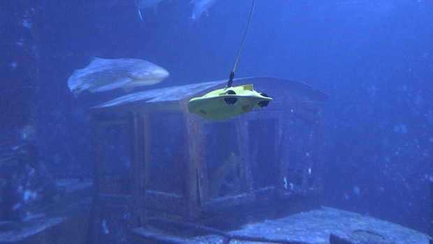 aquarium - Saint-Gilles - drone aquatique