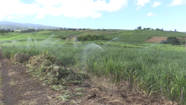 basculement des eaux - Ouest - Est - La Réunion