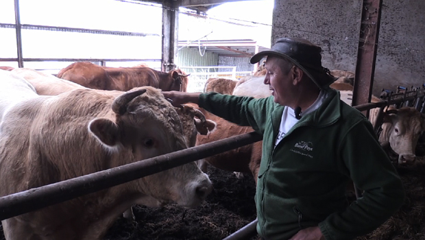 Travail en vacances - Agriculteurs - Eleveurs