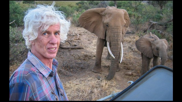 Kenya : un militant américain anti - trafic d’ivoire poignardé à mort
