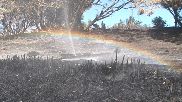 Feu - Incendie - La Réunion - Saint-Benoît