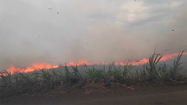 Incendie - Champ de canne - La Réunion - (Source : Tirouge, Radar 974)