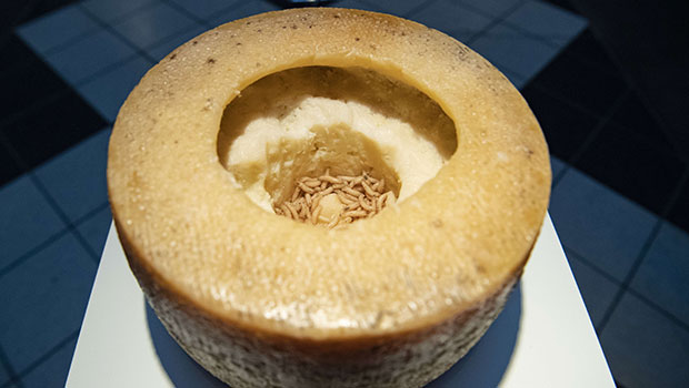 Casu marzu - Fromage aux larves vivantes