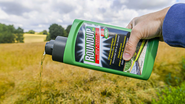 glyphosate