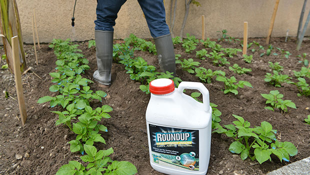 Glyphosate 