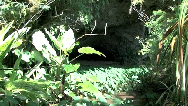 Grotte des Premiers Français - Saint-Paul - Travaux