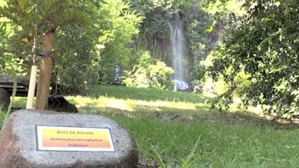 Réouverture -  Grotte - Premiers Français