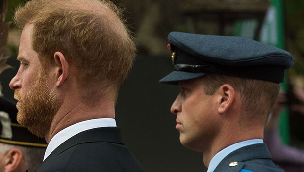 Prince Harry - prince William 