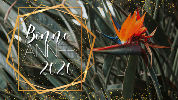 Nouvel An - Bonne Année - La Réunion - Oiseau de Paradis - 2020 - Antenne Réunion - LINFO.re