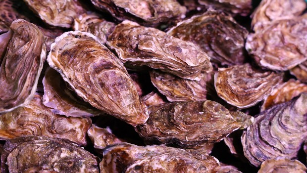 Loire-Atlantique : la vente d'huîtres interdite après l