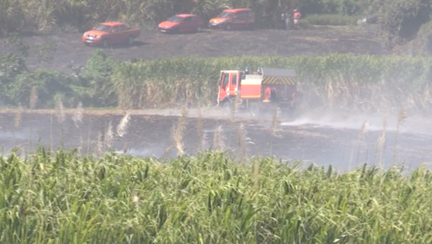 Incendie - champ de canne - Saint-Pierre - enquête 