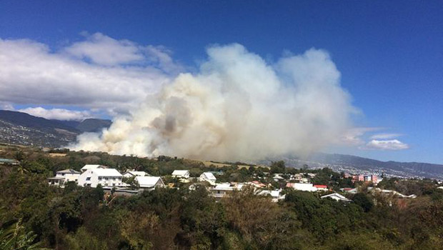 FEU - INCENDIE - CHAMPS DE CANNE