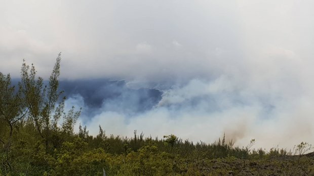 Sainte-Rose - Incendie - Feu de Forêt - Grand Brûlé