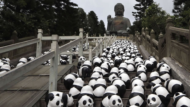 Hong Kong : Flashmob de 1 600 pandas