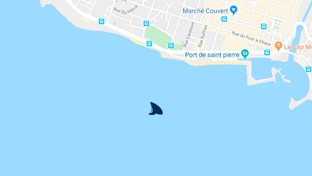 Requin-tigre à St-Pierre