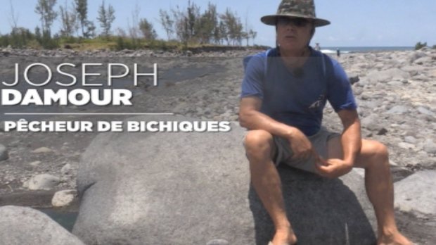 Vous - Joseph Damour - bichiques