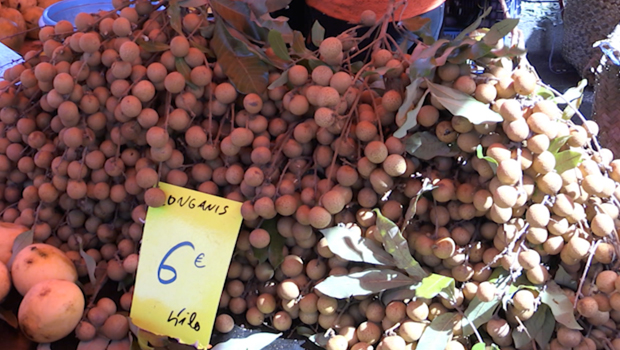 longanis - fruits - La Réunion