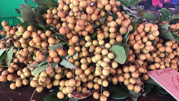 Le Chaudron - longanis - fruits 